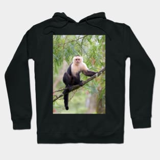 Capuchin monkey - Costa Rica Hoodie